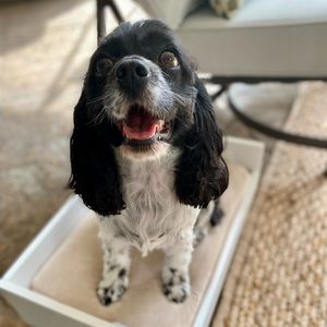 Meet your Posher, Jryan